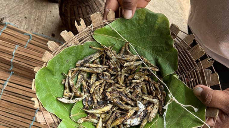 Photo of a small bamboo basket with dried fish in it.