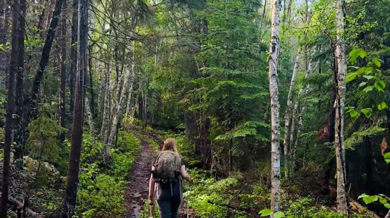 A researcher carrying an auger and a bottle of water, walking into the boreal forest at IISD Experimental Lakes Area, Ontario, to collect soil samples