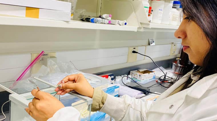 A researcher in a white lab coat working at a laboratory station, using tools to handle soil samples on a precision balance.