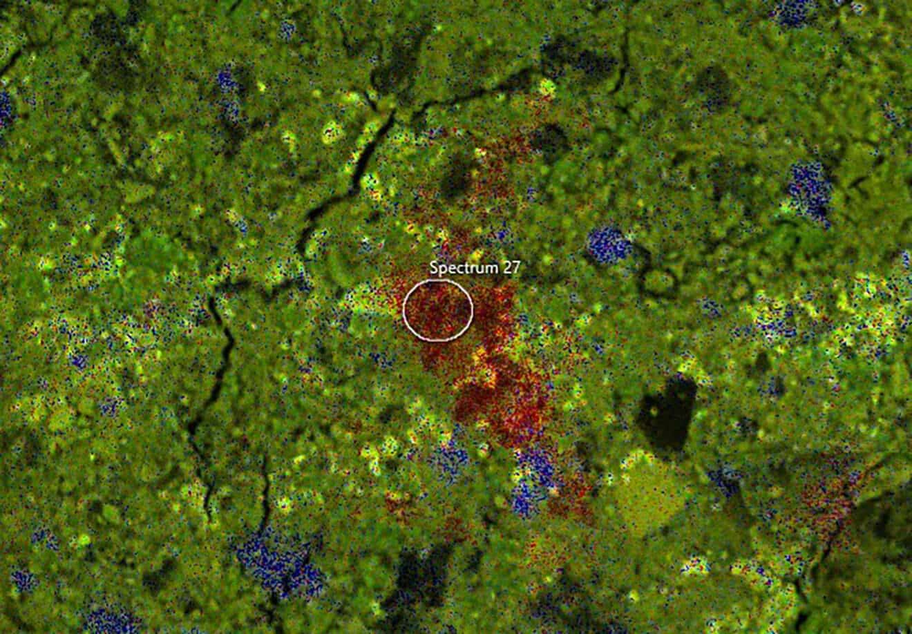 A grayscale SEM-EDX image showing phosphorus distribution in soil particles image showing phosphorus distribution in soil particle.