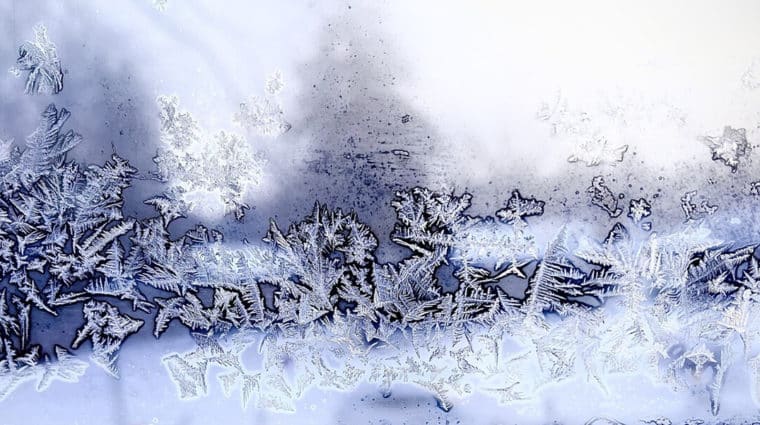 Snow prints on a window.