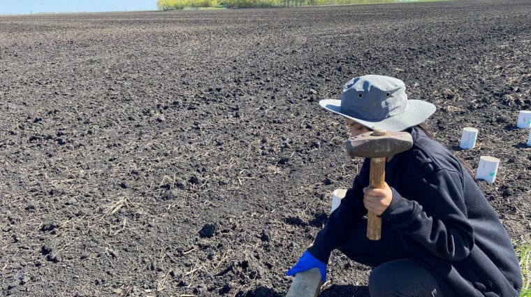 A person is collecting soil samples using a PVC tube by tapping the placed top wooded plate on the PVC tube using a hammer.