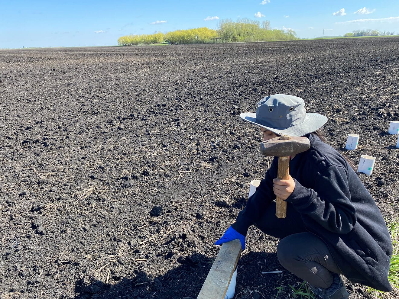 A person is collecting soil samples using a PVC tube by tapping the placed top wooded plate on the PVC tube using a hammer.