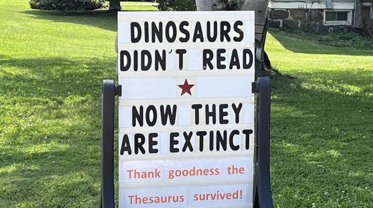 A picture of a person holding a little brown bat over a table with research equipment during fieldwork.