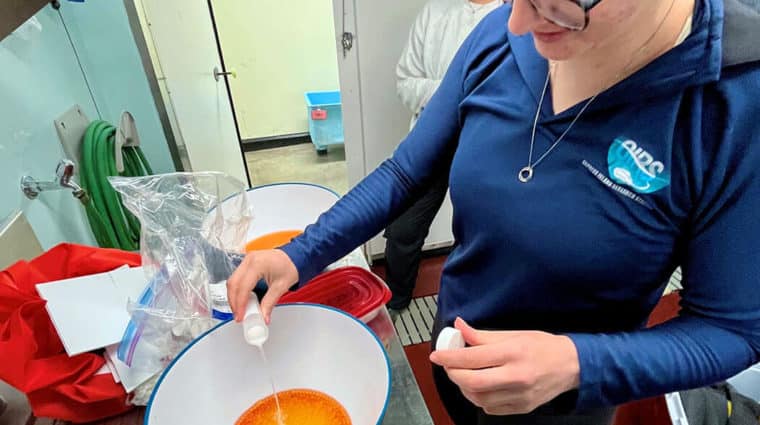 Researcher pouring liquid into a bowl of orange fish eggs.