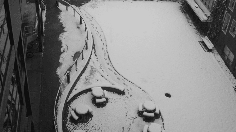 Bird's eye view of The Quad covered in snow. An abstract silhouette shaped like a leaf prominently visible. Black and white.