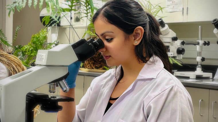A colourful photo of a young woman looking at a specimen through a microscope in a laboratory