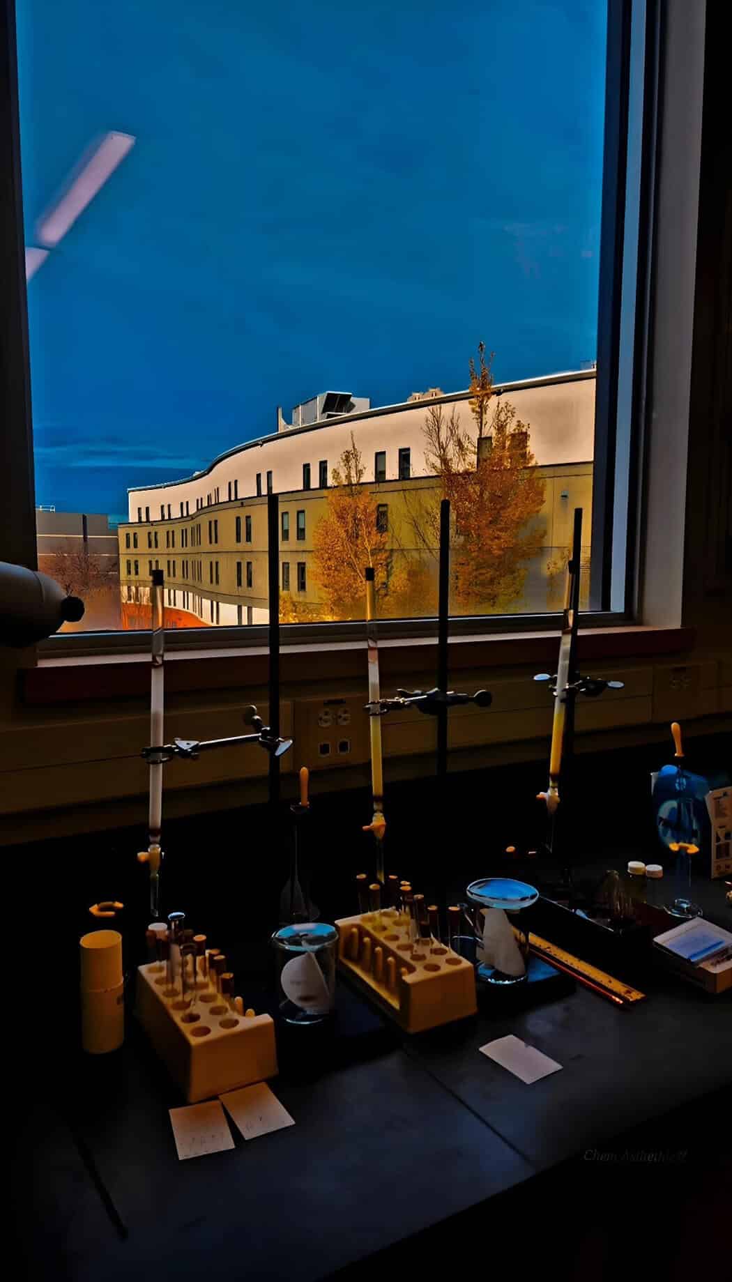 Photo of a small bamboo basket with dried fish in it.