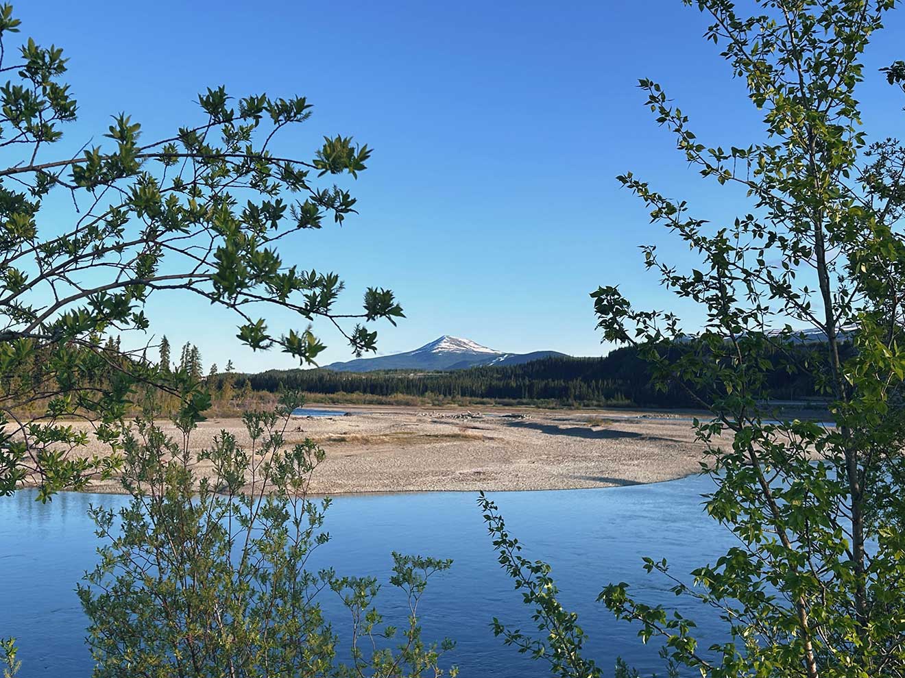 The Golden Horn Mountain in Whitehorse, YK.
